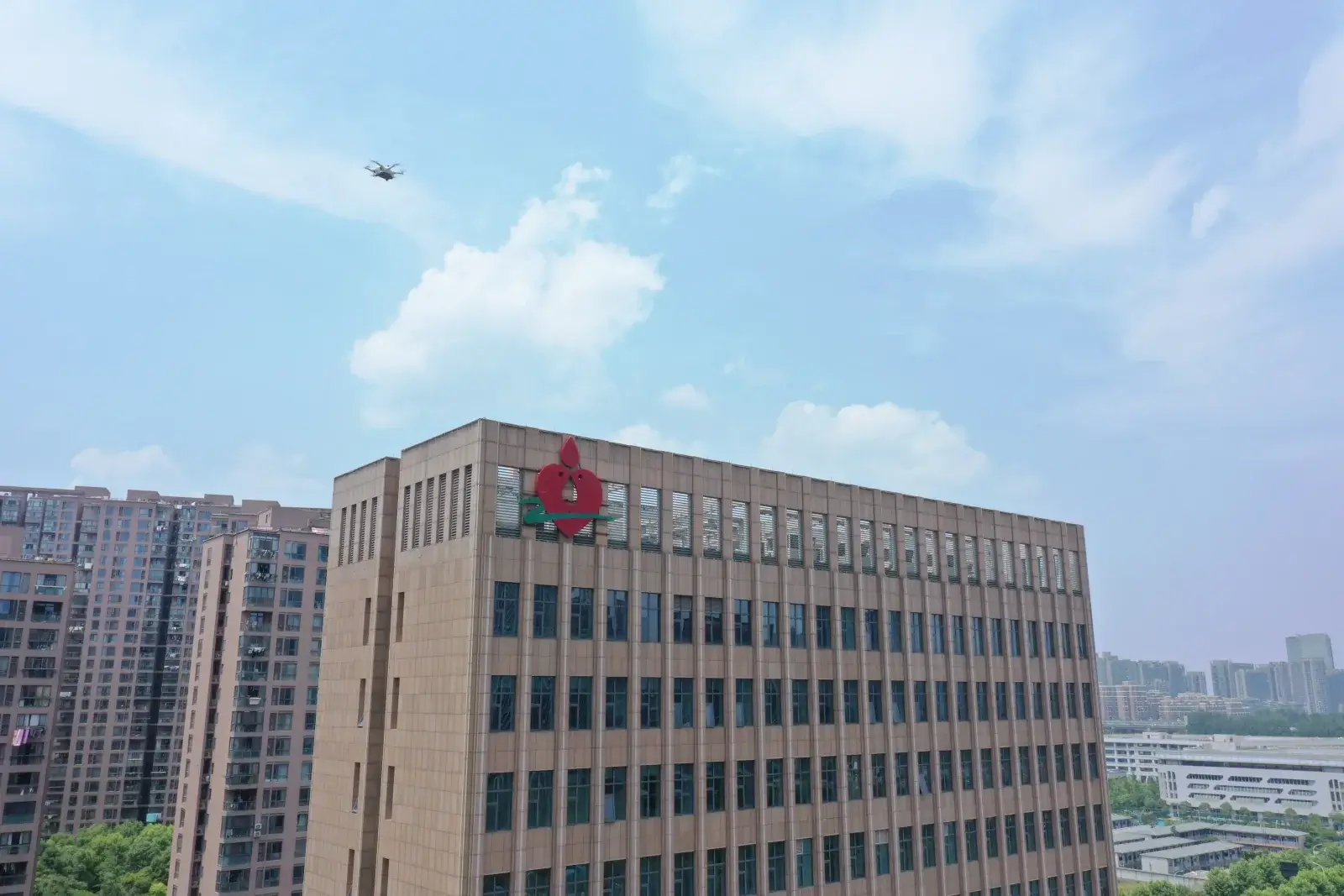 血液运输网络